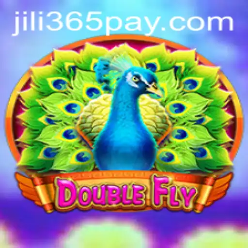 DoubleFly: A Unique Gaming Experience